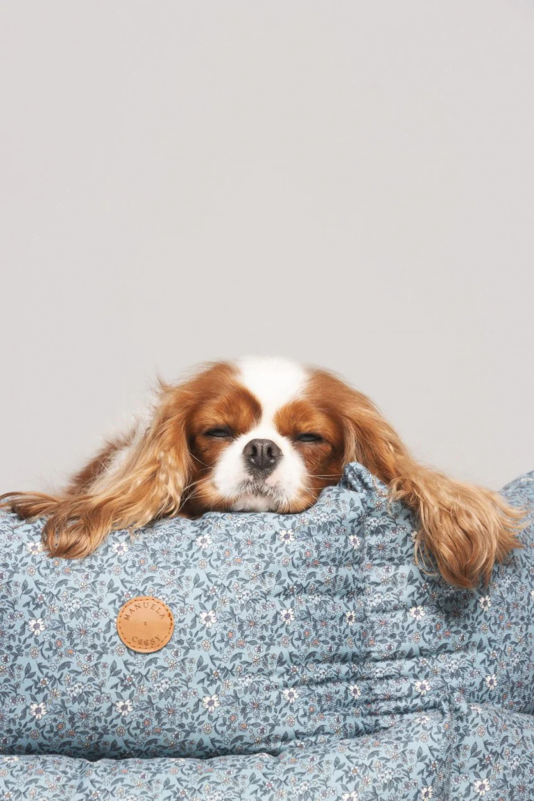 CAMA PETS.M AZUL