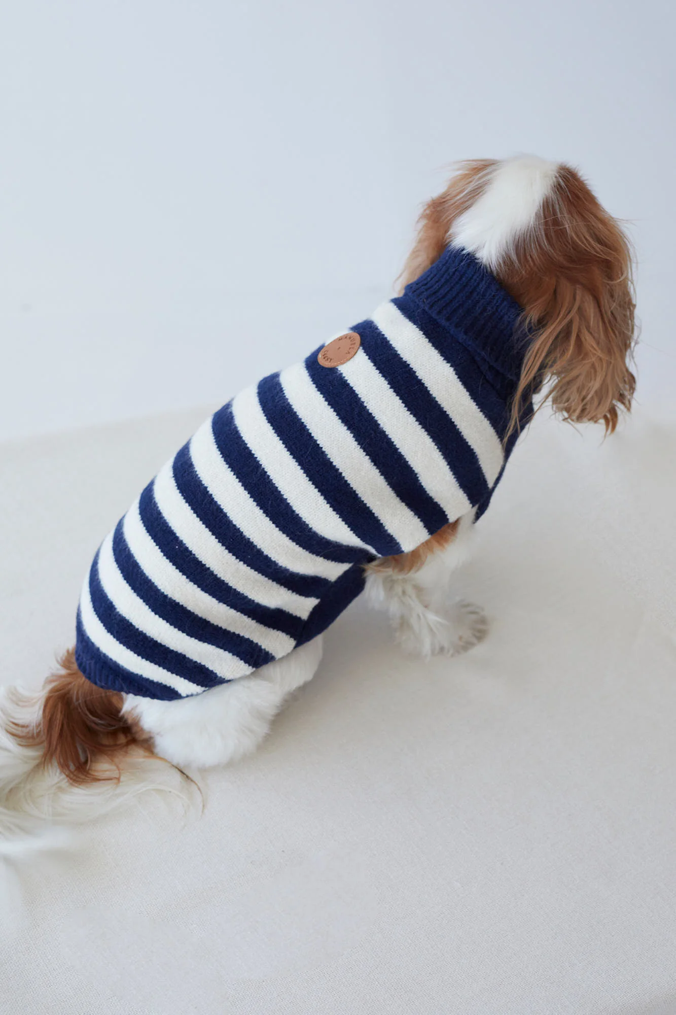 JERSEY PETS MARINO