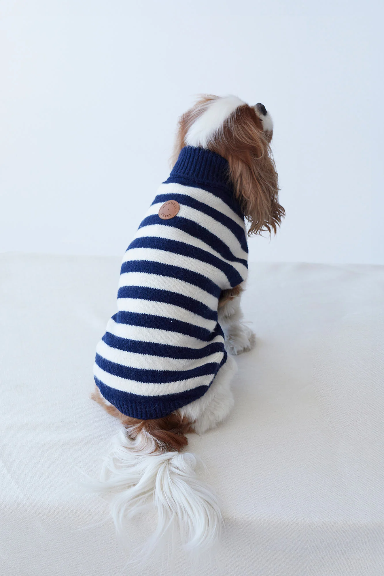 JERSEY PETS MARINO