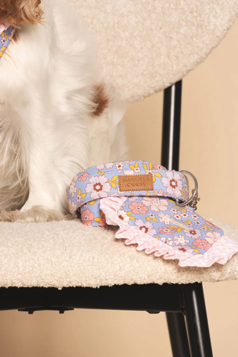CORREA PETS MORADO